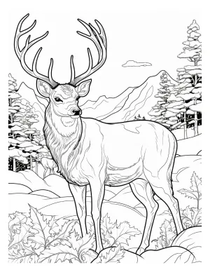 130 Winter Animal Coloring Pages For Adults Can be resized Lifetime access PERSONAL   LIMITED Commercial use