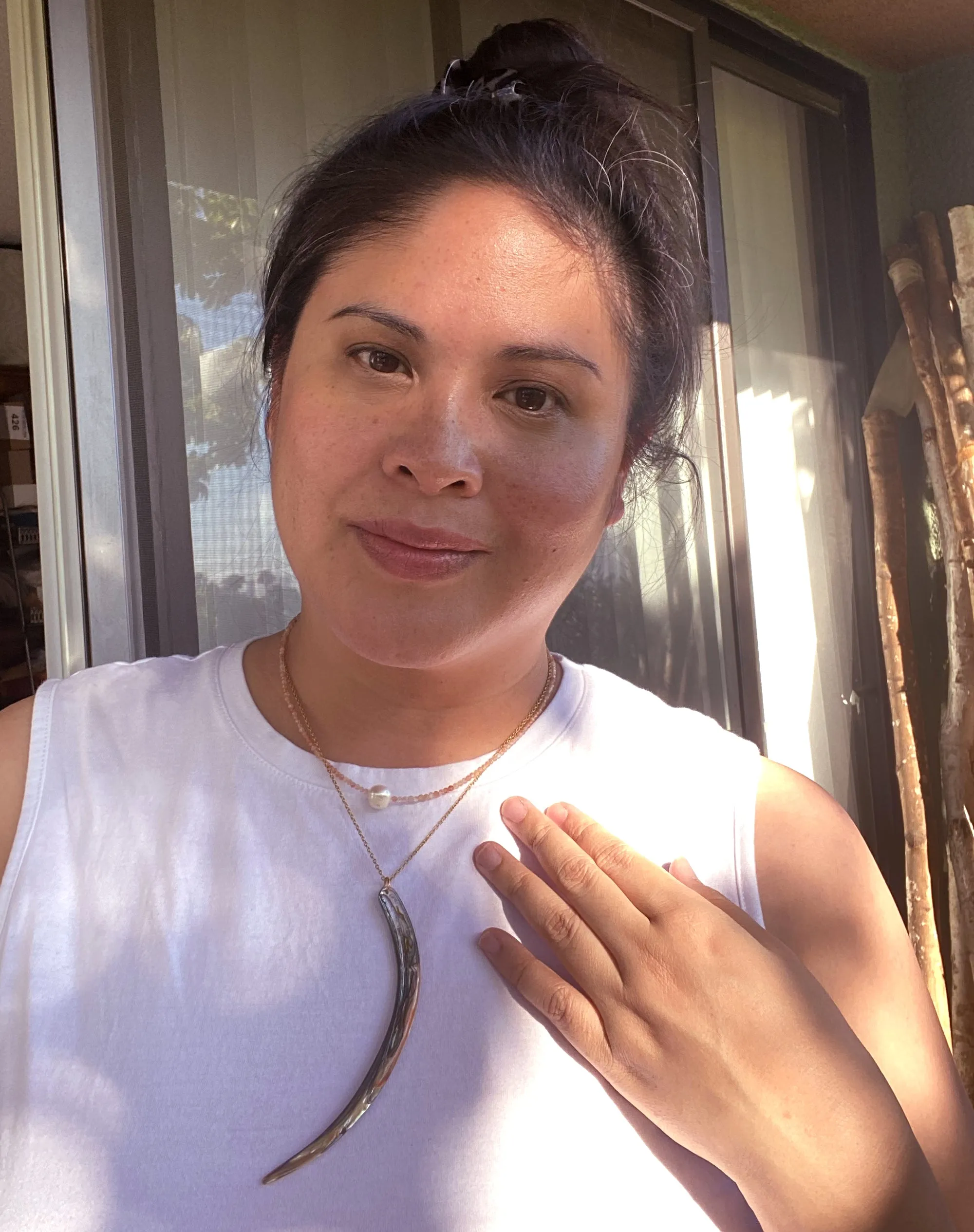 Abalone and sunstone necklace