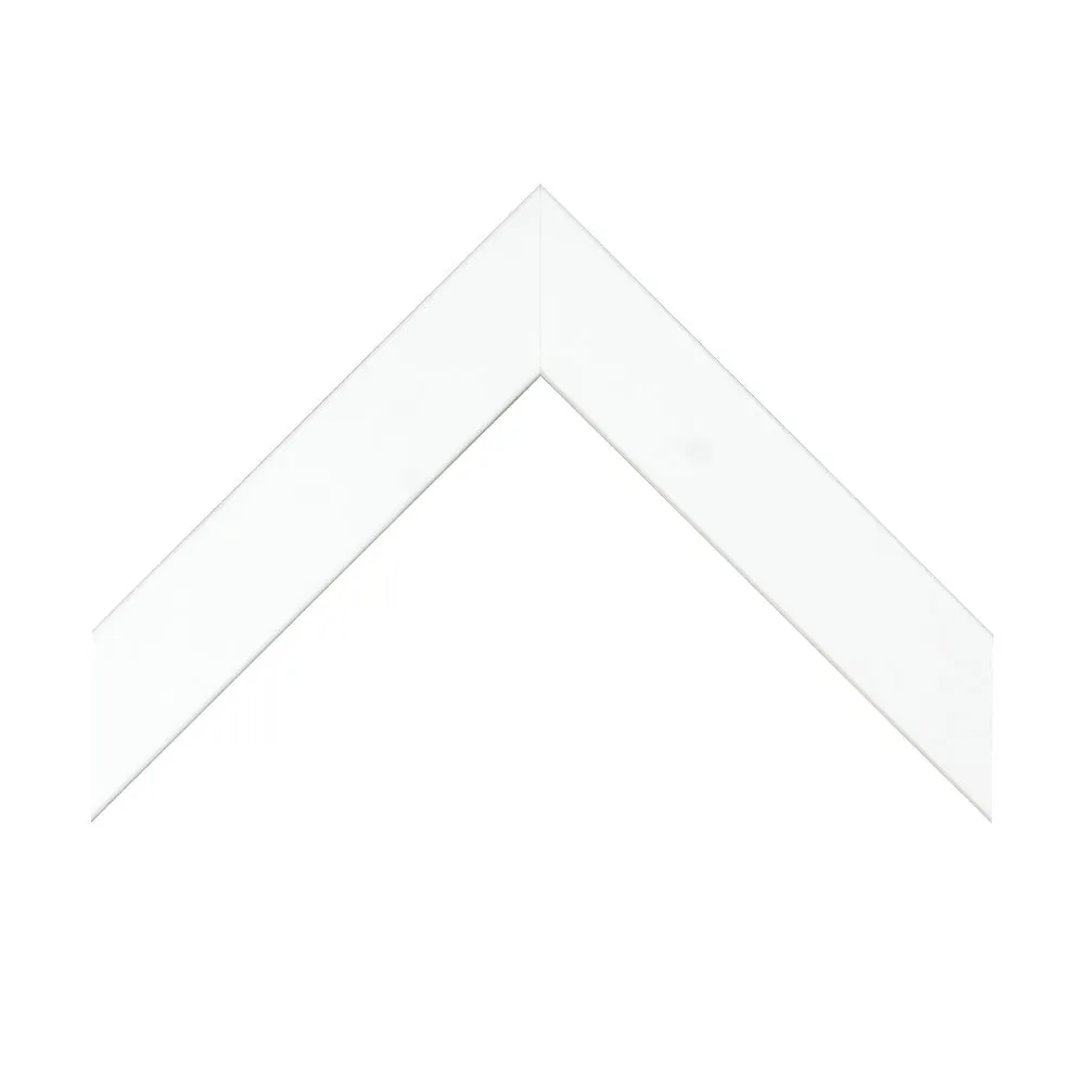 Abstract Zebra