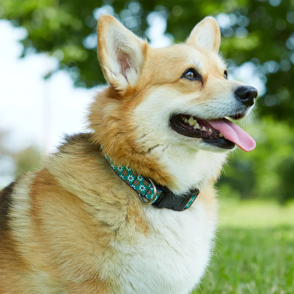 Aldwych (Liberty of London) - Dog Collar