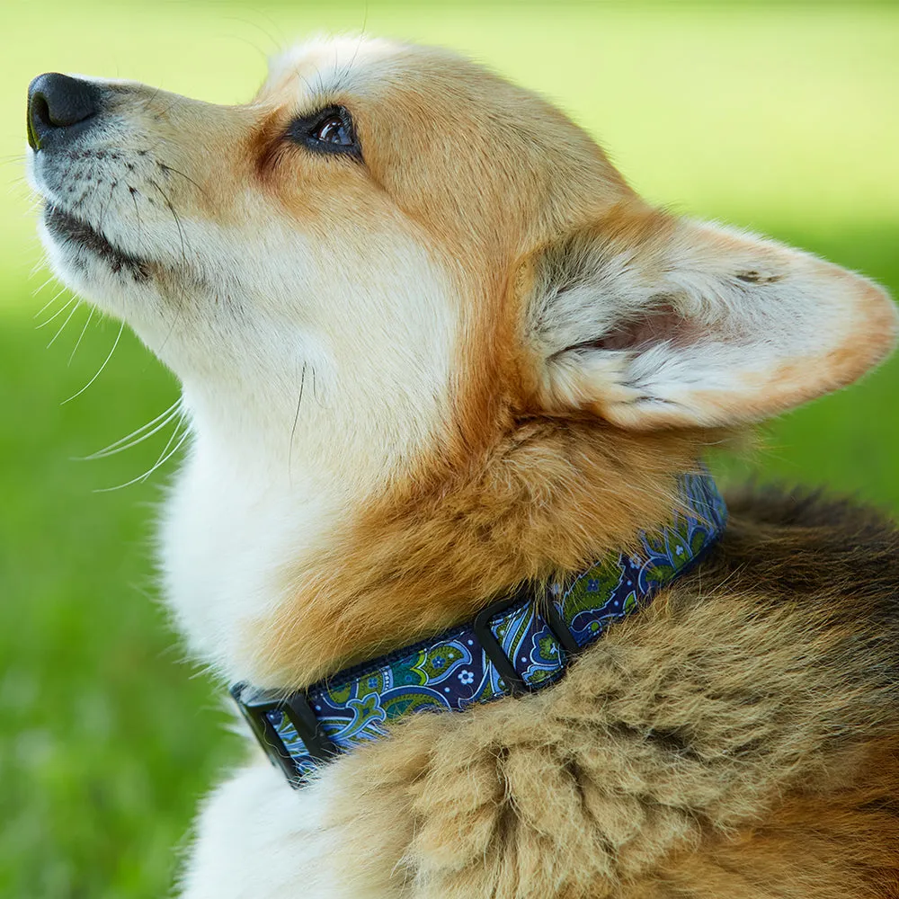 Aldwych (Liberty of London) - Dog Collar