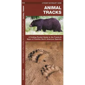 Animal Tracks