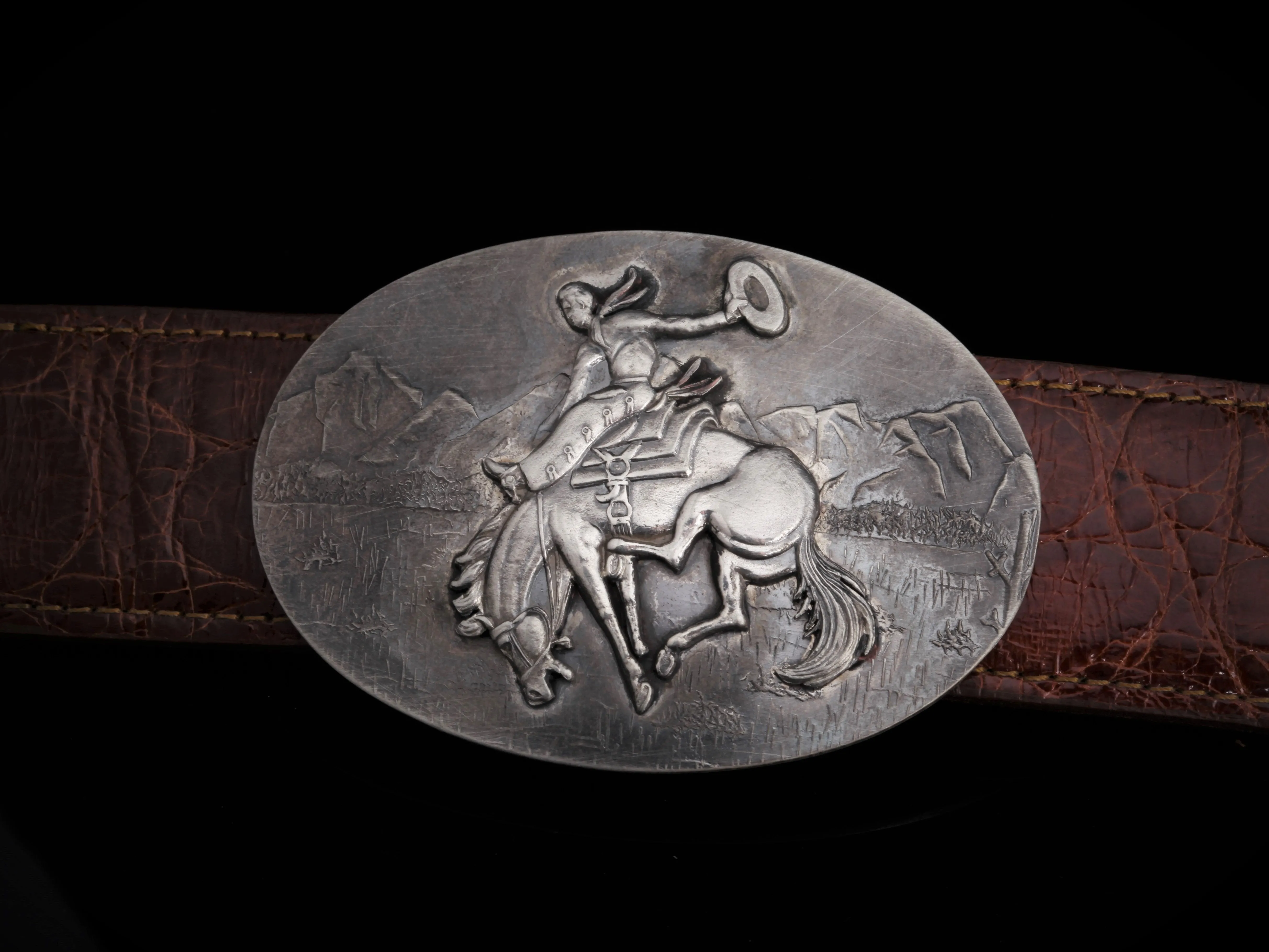 AQ17 Bronc, Left, Two Ways