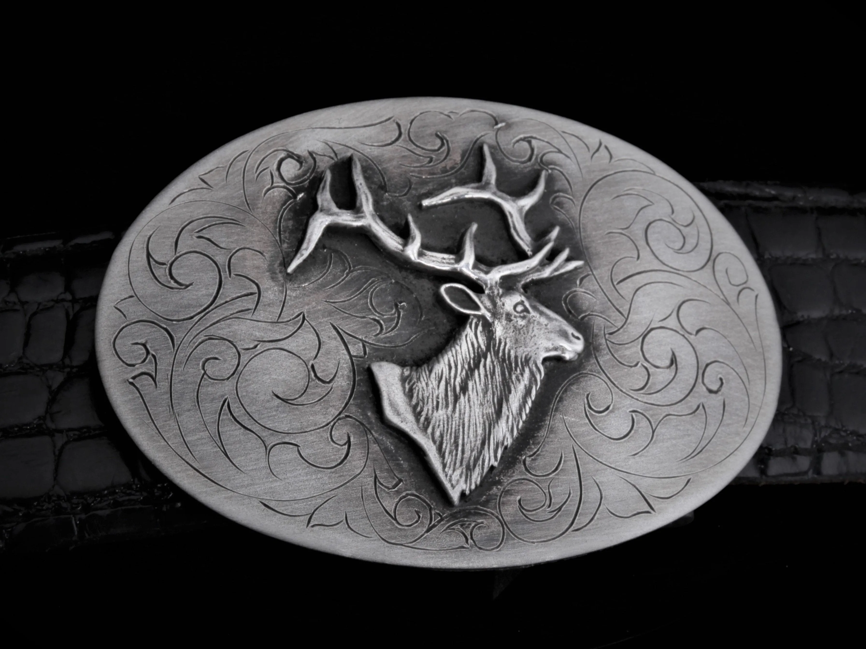 Astor Elk