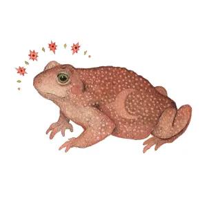 Astral Toad 5x7 Print