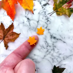 Autumn Leaf  - Mini Cuts - 10 Pairs