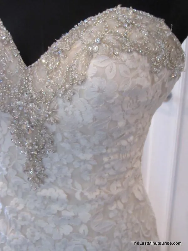 Bonny 500 size 8