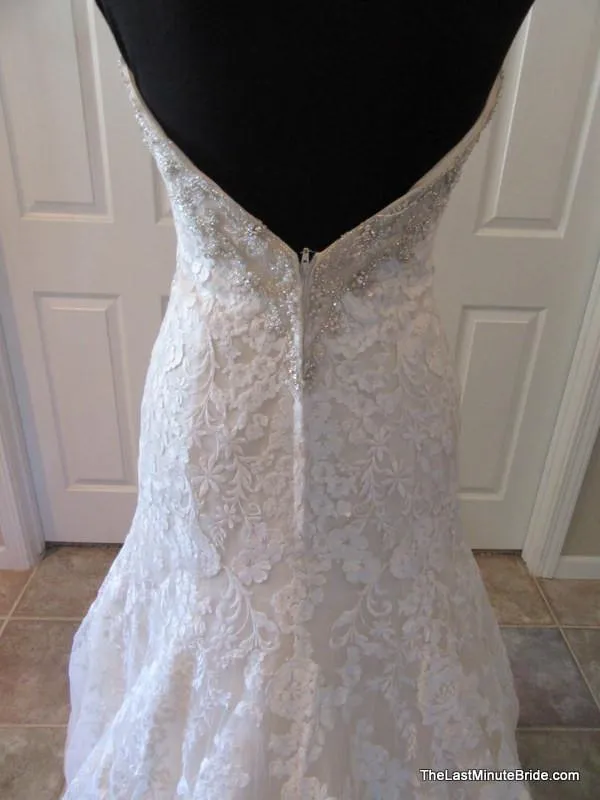 Bonny 500 size 8