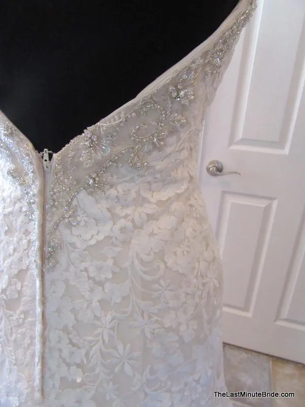 Bonny 500 size 8