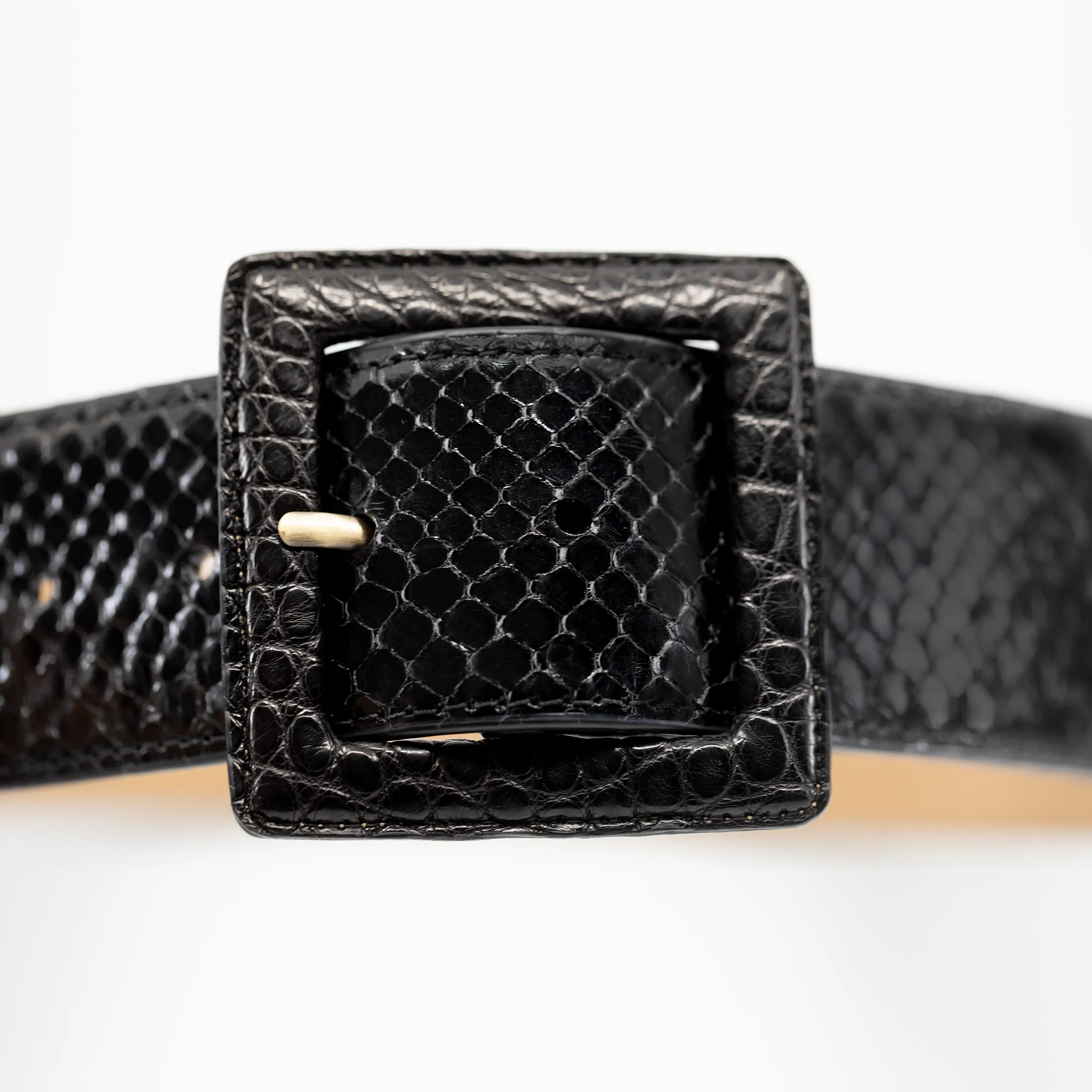 CA Hampton Black Python Couture waist belt