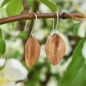 Copper Dogwood Leaf Earrings