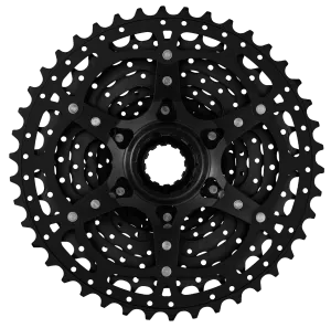 CSMS3 TAY 10 Speed