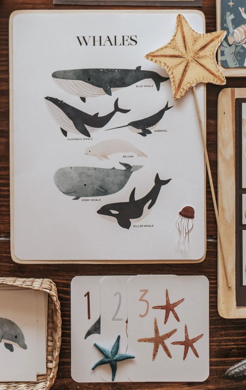 Discover the Ocean Activity Pack