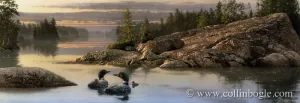 Discovery Point - Loons