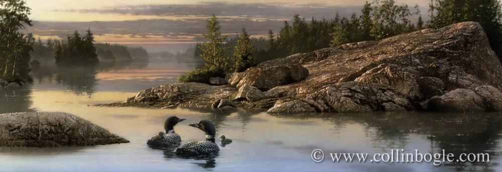 Discovery Point - Loons