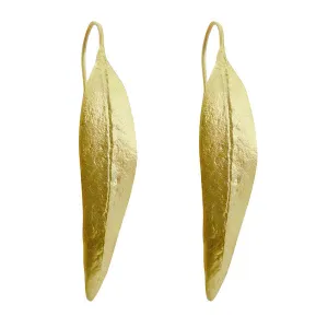 Eucalyptus  Earrings