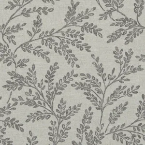 Ferndown-Charcoal