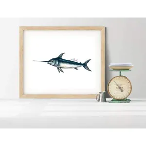 Florida state fish | Sailfish
