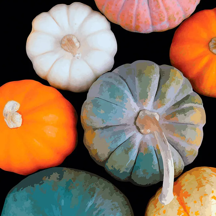 Gourds