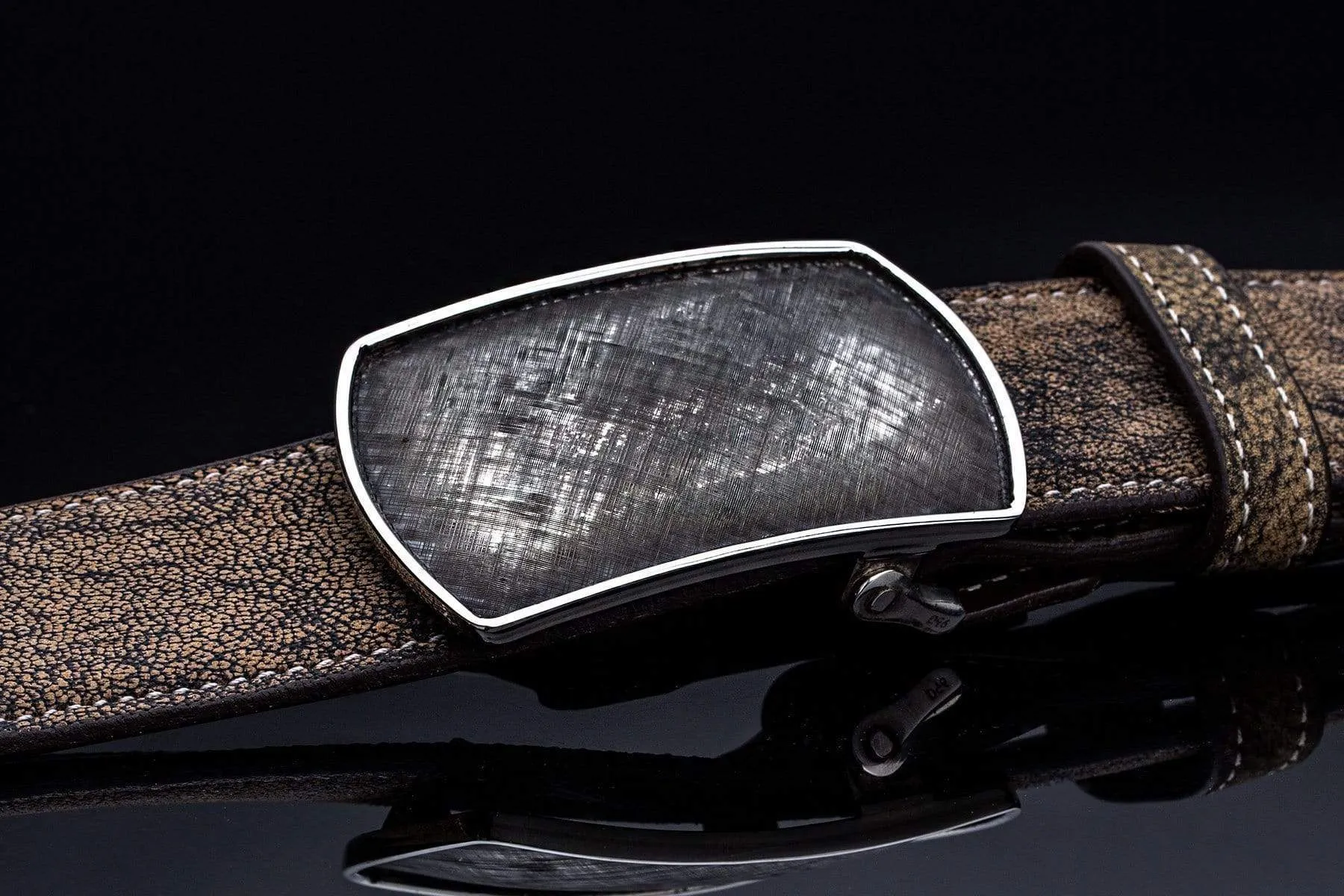 Halogen Price CH