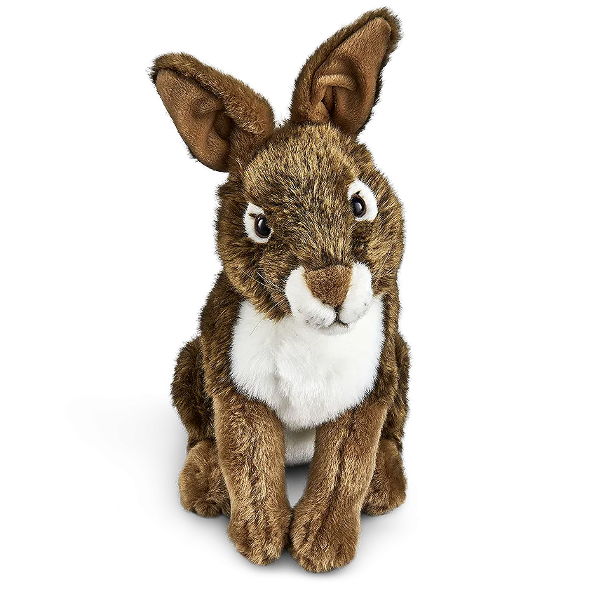 Hare