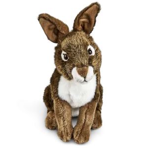 Hare