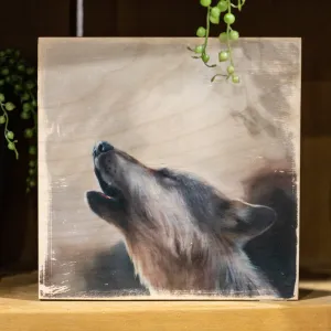Howling Fox