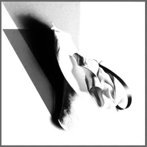 Laurence Bach: Nature Forms #2e