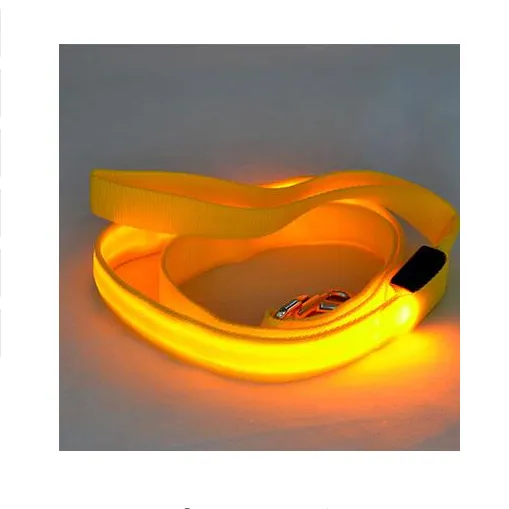 LED Safe-t-Leash