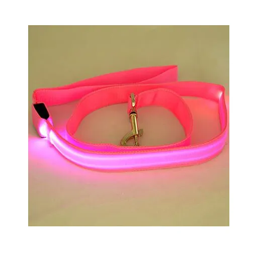 LED Safe-t-Leash