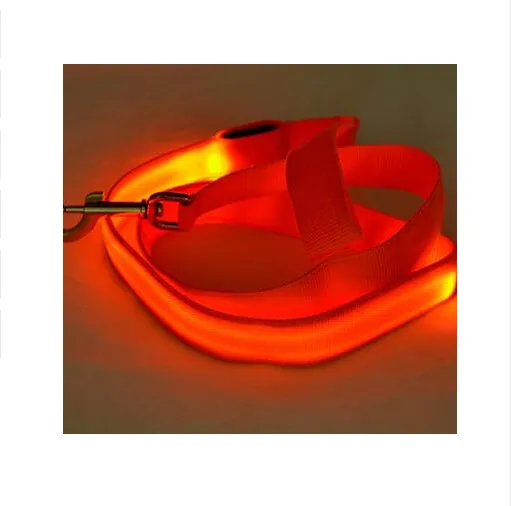 LED Safe-t-Leash