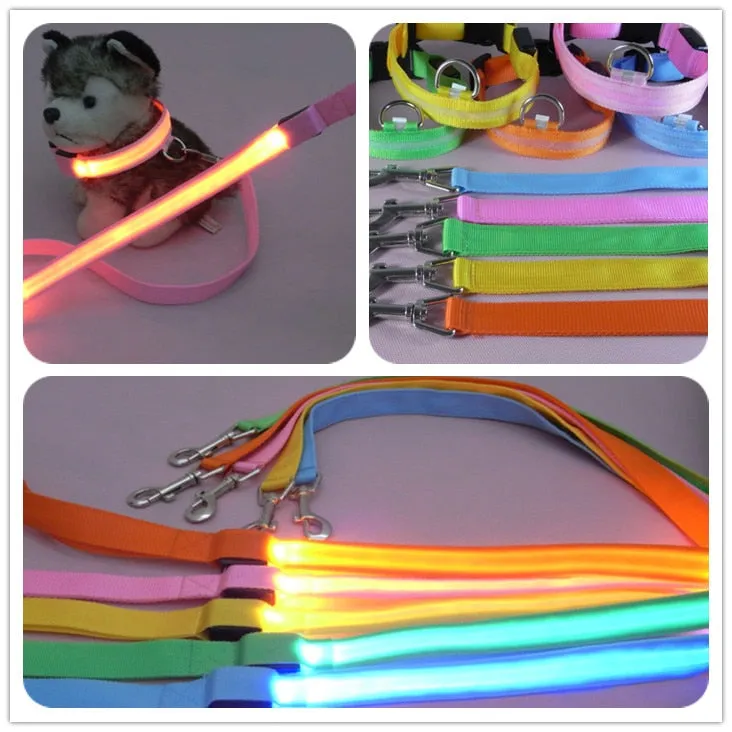 LED Safe-t-Leash