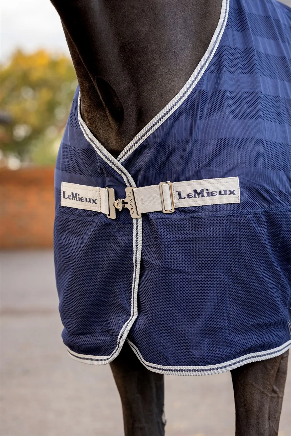LeMieux Arika Air-Tek Sheet