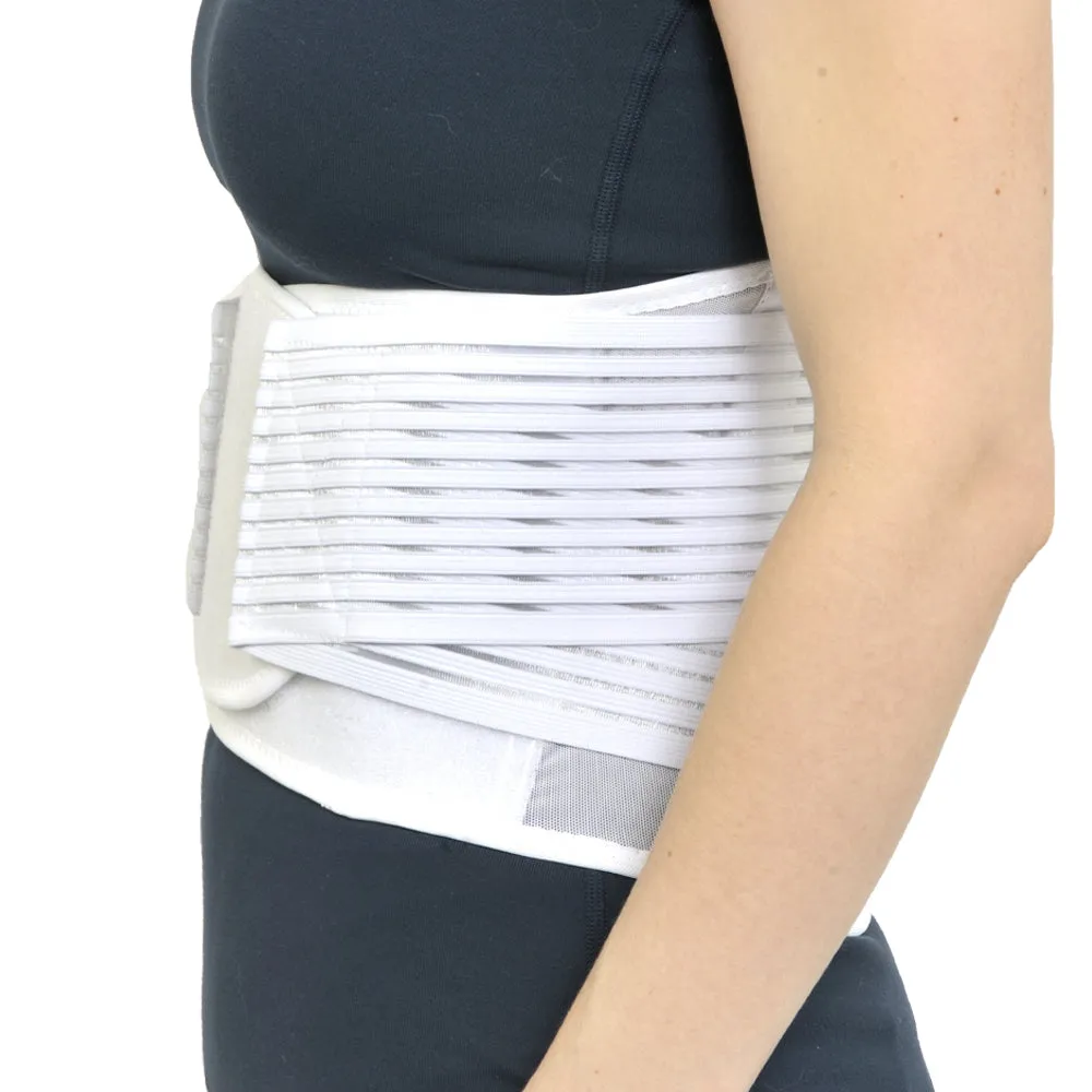 Light Mesh Back Support