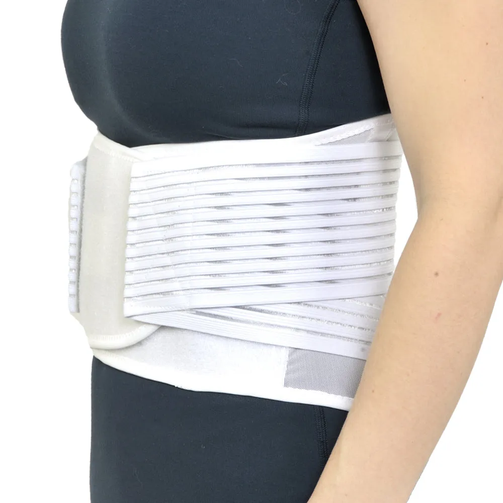 Light Mesh Back Support