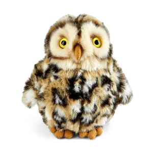 Little Owl