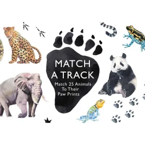 Match A Track Game