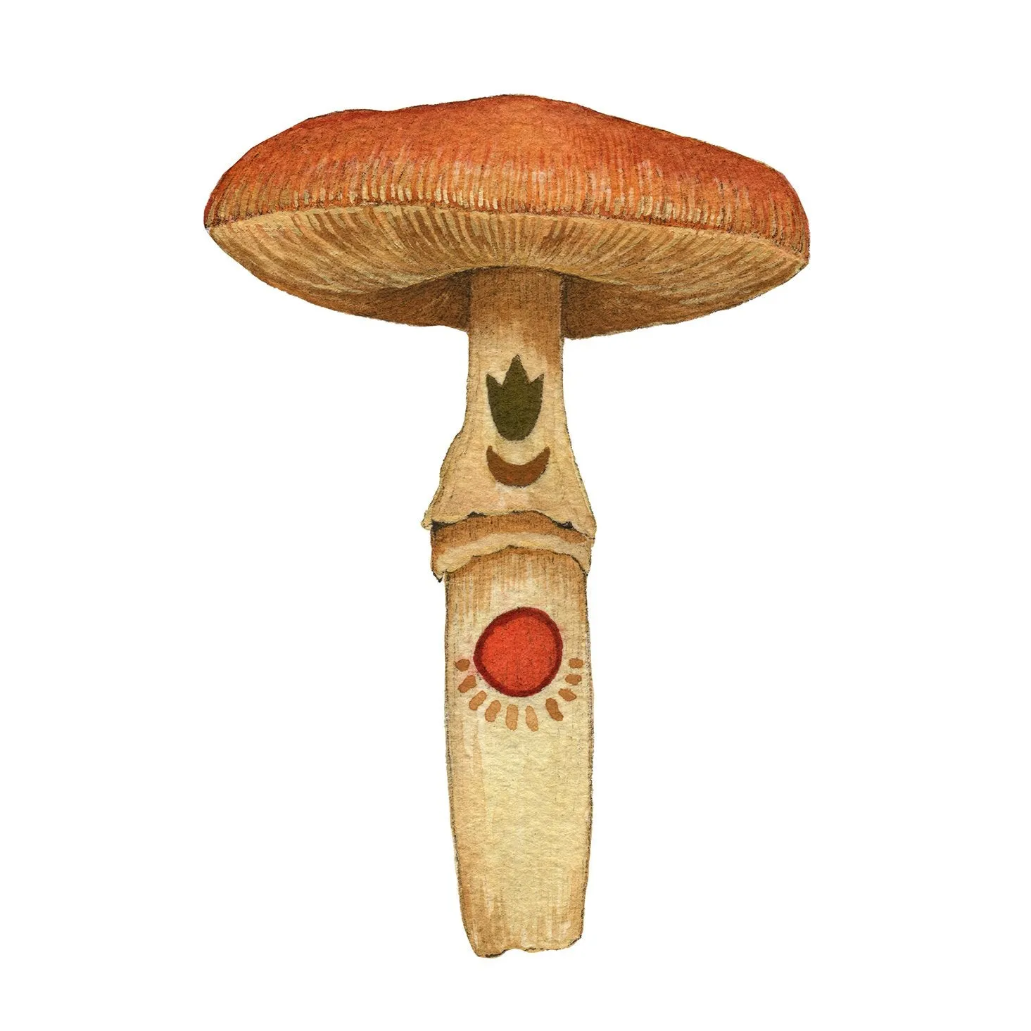Mineral Mushroom Carnelian 5x7 Print
