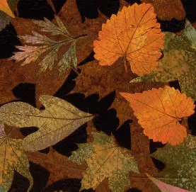 Multi-Leaf Platter