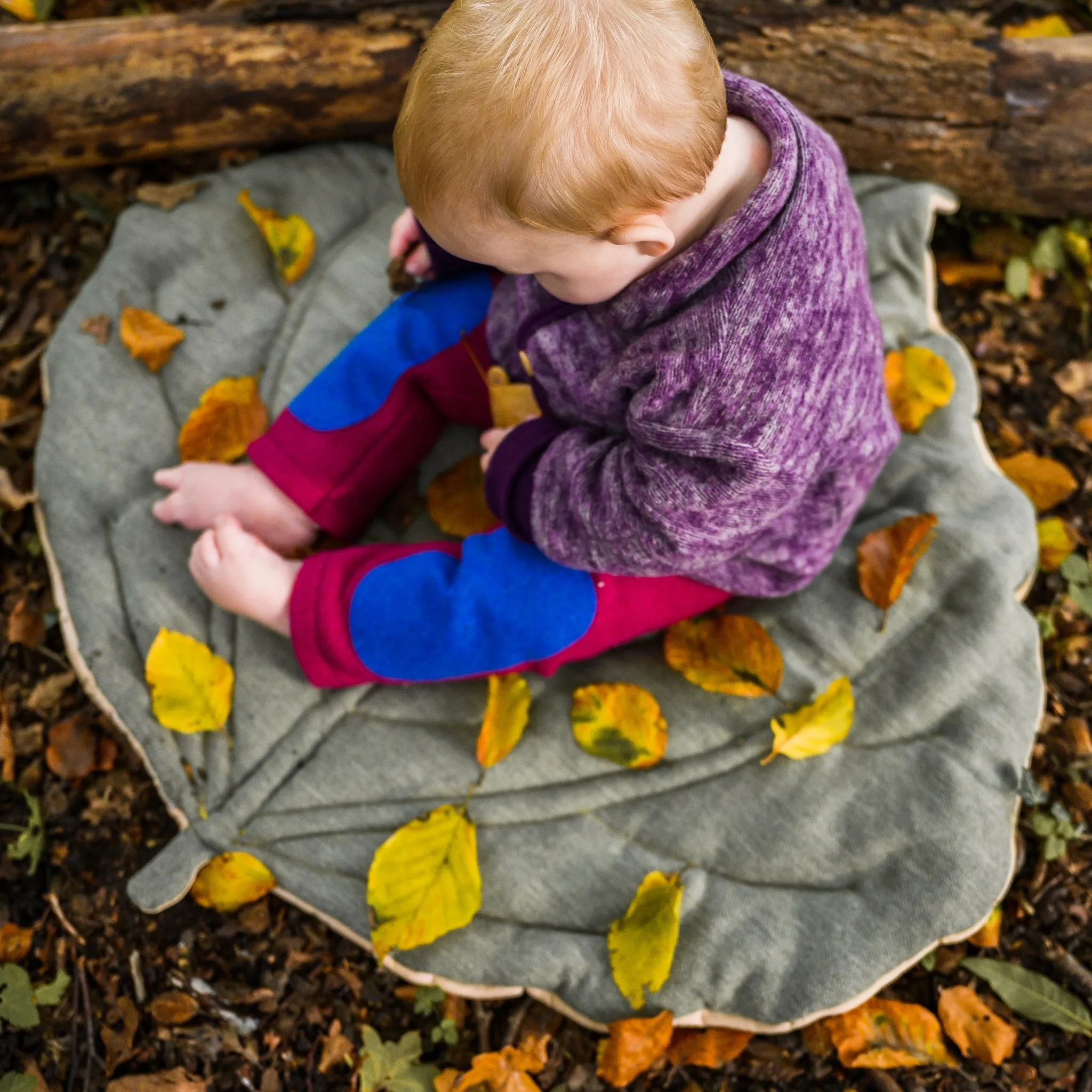 North American Leaf Sewing Patterns BUNDLE ~  5 leaf shapes in ALL sizes