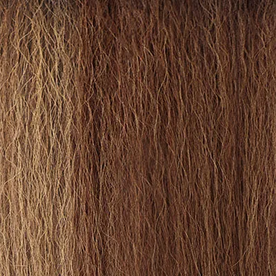 Outre Soft & Natural Lace Front Wig - Neesha (202)