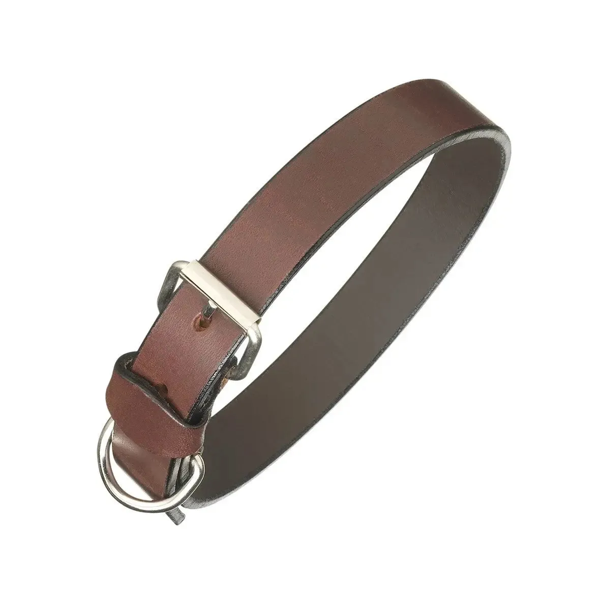 PAMPEANO Leather Dog Collar - Brown