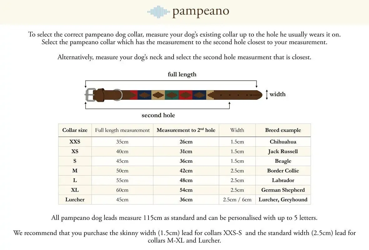 PAMPEANO Leather Dog Collar - Brown