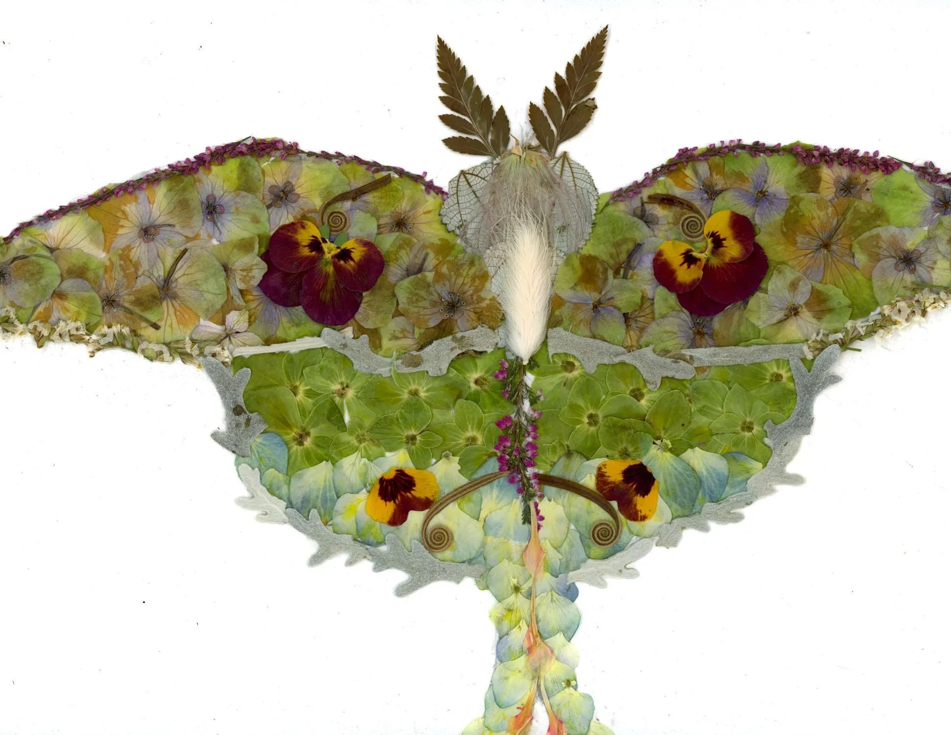 Pressed flower Luna moth art, floral collage motn, whimsical art made with real flowers