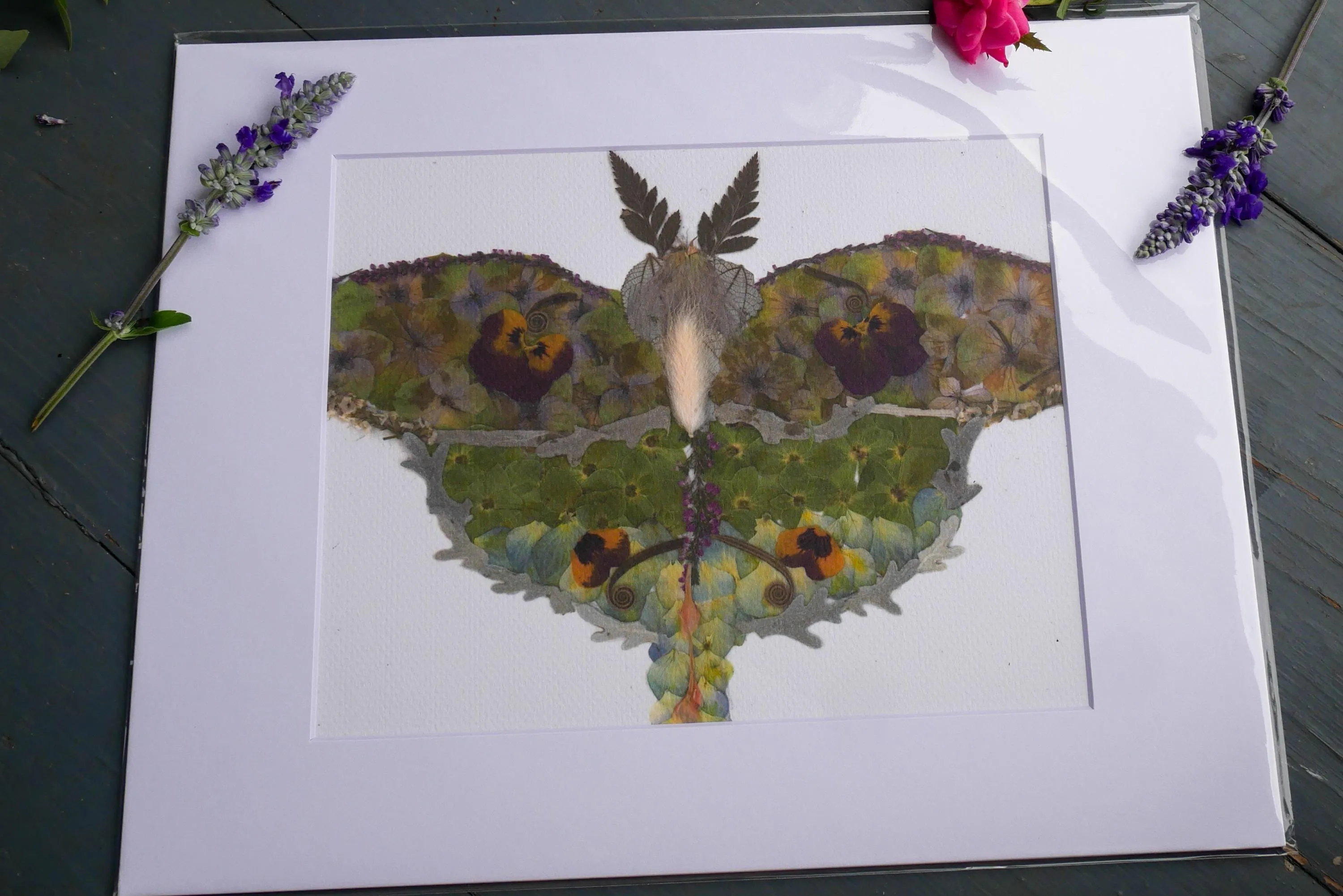 Pressed flower Luna moth art, floral collage motn, whimsical art made with real flowers