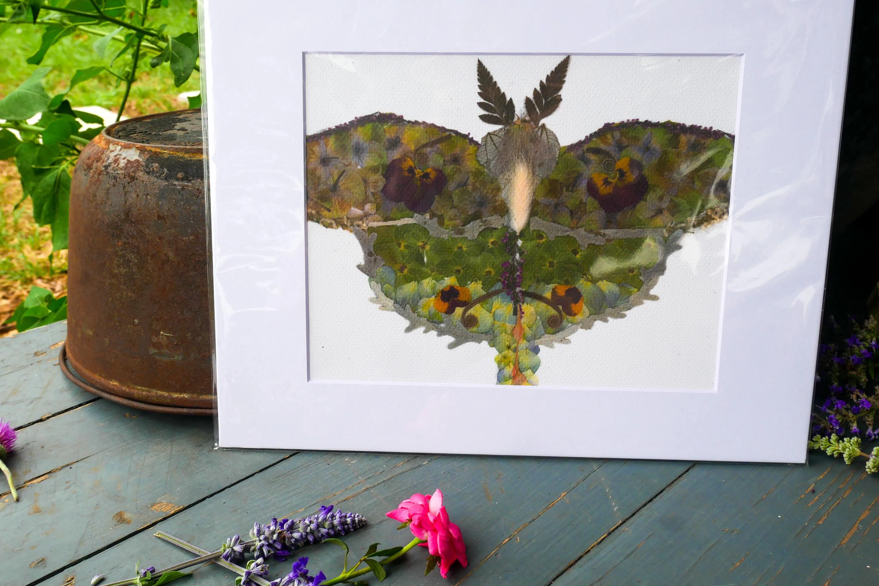 Pressed flower Luna moth art, floral collage motn, whimsical art made with real flowers