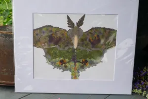 Pressed flower Luna moth art, floral collage motn, whimsical art made with real flowers