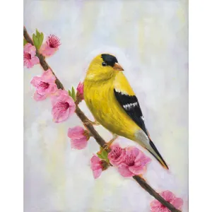 "Augur" Goldfinch Bird Art Print