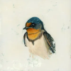 "Genesis" Swallow Art Print