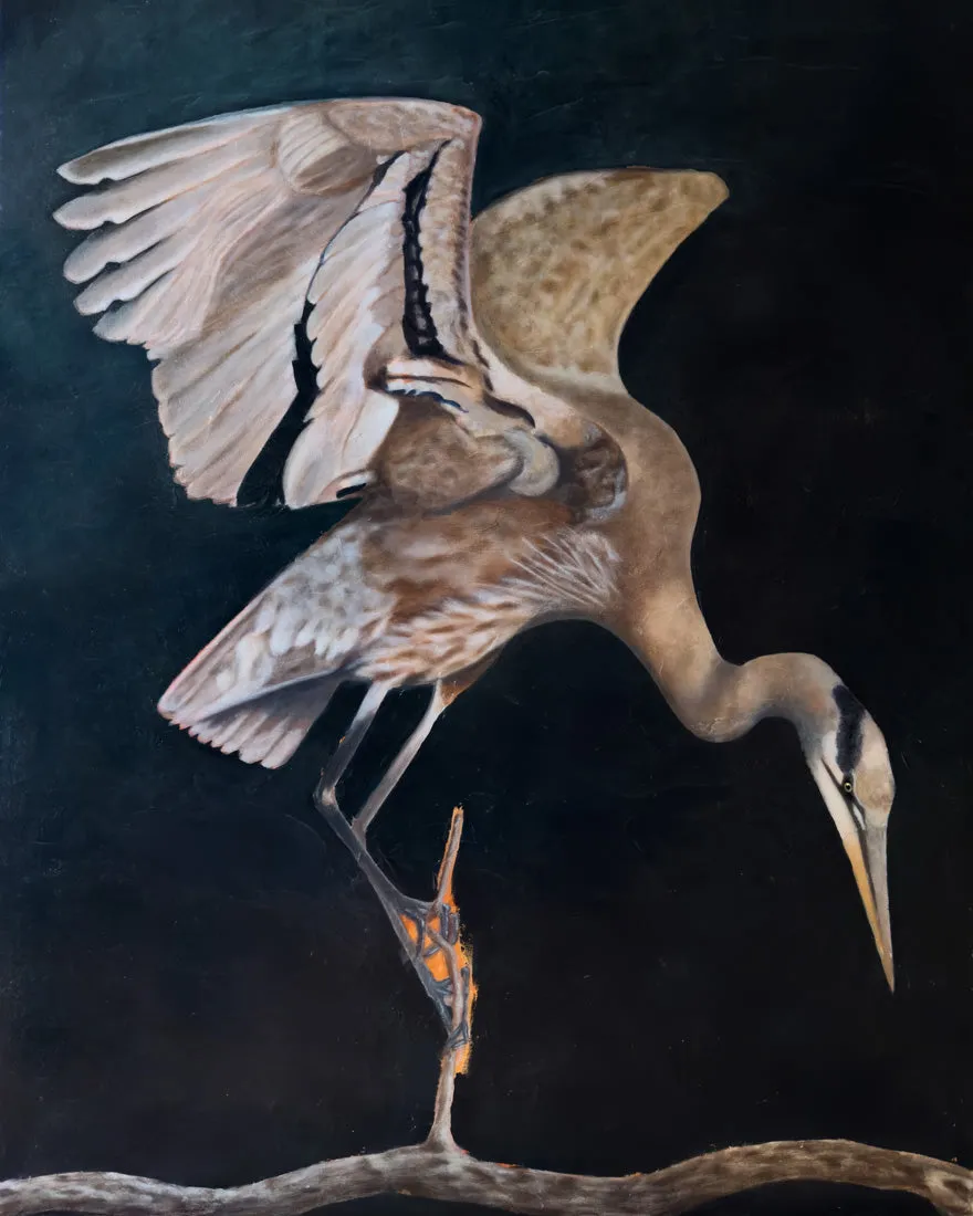 "Luna" Heron Art Print